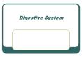 Digestive System PowerPoint PPT Presentation