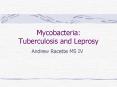 Mycobacteria:    Tuberculosis and Leprosy PowerPoint PPT Presentation