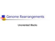 Genome Rearrangements