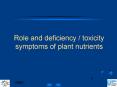 Role and deficiency / toxicity symptoms of plant nutrients PowerPoint PPT Presentation