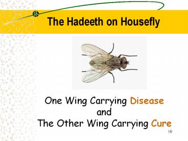 The Hadeeth on Housefly