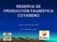 RESERVA DE PRODUCCI PowerPoint PPT Presentation