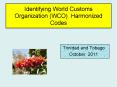 Identifying World Customs Organization (WCO) Harmonized Codes PowerPoint PPT Presentation