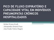 PICO DE FLUXO EXPIRAT