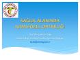 SAGLIK ALANINDA KAMU- PowerPoint PPT Presentation
