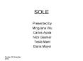 SOLE PowerPoint PPT Presentation