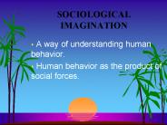 SOCIOLOGICAL IMAGINATION