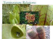 Temperature Relations