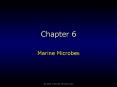 Marine Microbes PowerPoint PPT Presentation