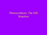 Photosynthesis: The Hill Reaction