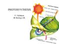 PHOTOSYNTHESIS E. McIntyre IB Biology HL PowerPoint PPT Presentation