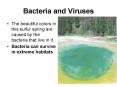 Bacteria and Viruses PowerPoint PPT Presentation