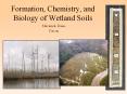 Formation, Chemistry, and Biology of Wetland Soils PowerPoint PPT Presentation