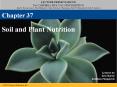 Soil and Plant Nutrition PowerPoint PPT Presentation