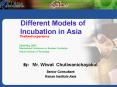 Different Models of Incubation in Asia PowerPoint PPT Presentation