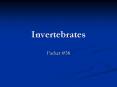 Invertebrates PowerPoint PPT Presentation