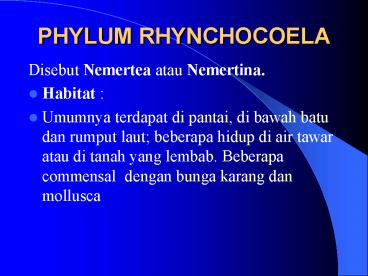 PHYLUM RHYNCHOCOELA