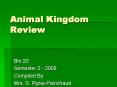 Animal Kingdom Review PowerPoint PPT Presentation
