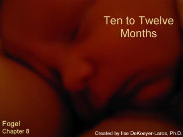 Ten to Twelve Months