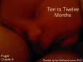 Ten to Twelve Months PowerPoint PPT Presentation