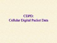 CDPD: Cellular Digital Packet Data