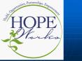 Intervention Planning, Program Development, and Implementation Health Works for Women/Health Works in the Community and  HOPE Works PowerPoint PPT Presentation