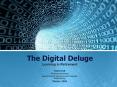 The Digital Deluge PowerPoint PPT Presentation