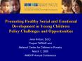 Promoting Healthy Social and Emotional Development in Young Children: Policy Challenges and Opportunities PowerPoint PPT Presentation
