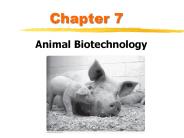 Animal Biotechnology