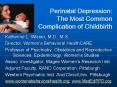 Perinatal Depression:  The Most Common Complication of Childbirth   PowerPoint PPT Presentation