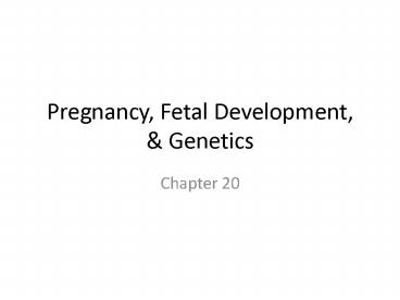 Pregnancy, Fetal Development,