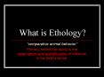 What is Ethology? PowerPoint PPT Presentation
