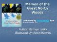 Marven of the Great North Woods PowerPoint PPT Presentation