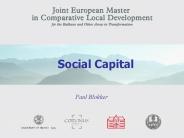 Social Capital