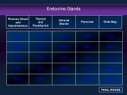 Endocrine Glands