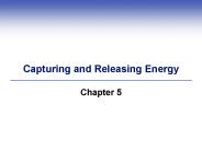 Capturing and Releasing Energy