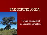 ENDOCRINOLOGIA