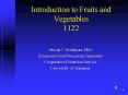 Introduction to Fruits and Vegetables 1122 PowerPoint PPT Presentation