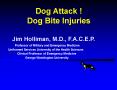 Dog Attack !        Dog Bite Injuries PowerPoint PPT Presentation