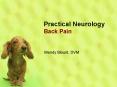 Practical Neurology Back Pain PowerPoint PPT Presentation
