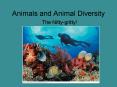 Animals and Animal Diversity PowerPoint PPT Presentation