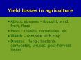 Yield losses in agriculture PowerPoint PPT Presentation