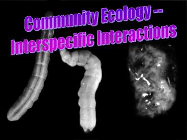 Community Ecology