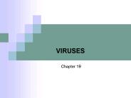 VIRUSES
