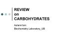 REVIEW on CARBOHYDRATES PowerPoint PPT Presentation