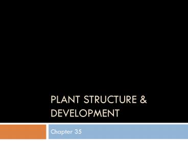 PPT – PLANT STRUCTURE PowerPoint presentation | free to view - id ...