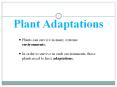 Plant Adaptations PowerPoint PPT Presentation