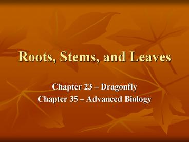 Roots, Stems, and Leaves