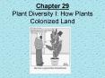 Chapter 29 Plant Diversity I: How Plants Colonized Land PowerPoint PPT Presentation