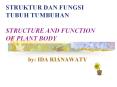 STRUKTUR DAN FUNGSI TUBUH TUMBUHAN STRUCTURE AND FUNCTION OF PLANT BODY PowerPoint PPT Presentation
